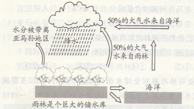 高考地理《森林的開發(fā)和保護(hù)》通關(guān)題圖片