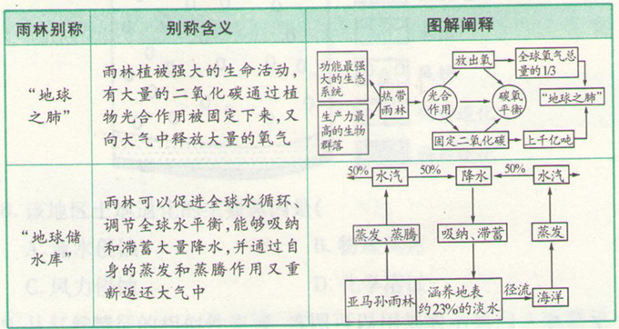 高考地理《熱帶雨林的全球環(huán)境效應》考點圖片