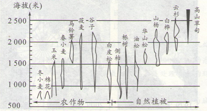 高考地理:信息系統(tǒng)(GIS)應用和數(shù)字地球章節(jié)的高考通關(guān)題組(下)圖片