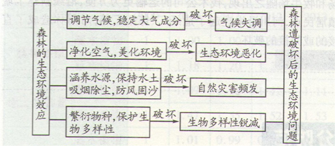 高考地理《森林對環(huán)境的影響》圖片