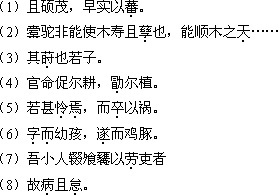 江蘇成人高考專升本《大學(xué)語文》考試大綱